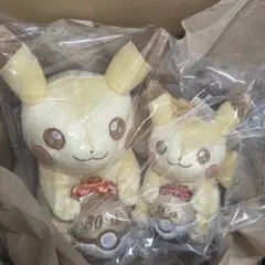 ポケモン 30周年記念 ピカピカ！ピカチュウ ぬいぐるみ マスコット