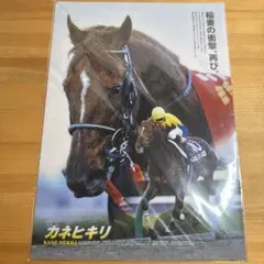 JRA カネヒキリ　クリアファイル　ヒーロー列伝No.68