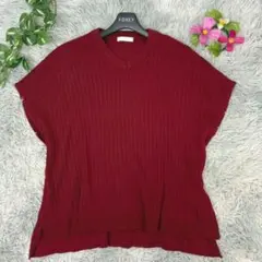 【ドレスキップ】ワールド バーガンディ 半袖 リブニット (L) トップス