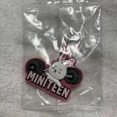 SEVENTEEN miniteen めじるしアクセサリー エスクプス