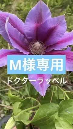 102 ＊M 。様 リクエスト 2点 まとめ商品