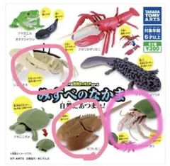 2026年最新】カブトガニ 標本の人気アイテム - メルカリ