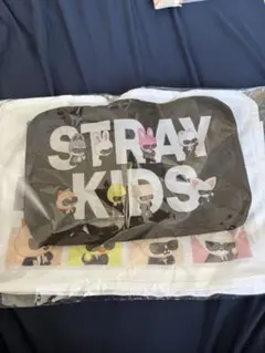 StrayKids 国立 RUN IT アプグレ特典 ポーチ
