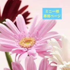 ★ミニー様専用ページ★