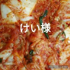 けい様専用です。