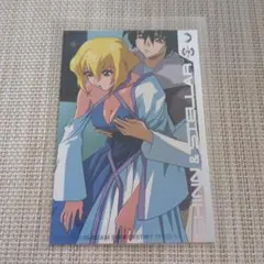 ガンダムSEED DESTINY　シン　ステラ　フォトコレクション　箔押し