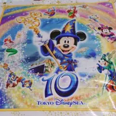 ディズニーショッピングバッグ　ディズニーシー10周年