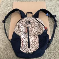 ノースフェイスTHE NORTH FACE リュック TELLUS 20L