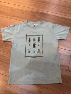 モンベル　キッズTシャツ　ウイックロン　昆虫　ライトブルー