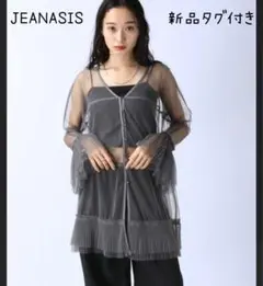 JEANASIS ジーナシス チュールプリーツ2way チュニック グレー新品