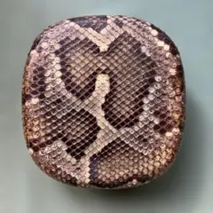 2025年最新】三線 蛇皮の人気アイテム - メルカリ