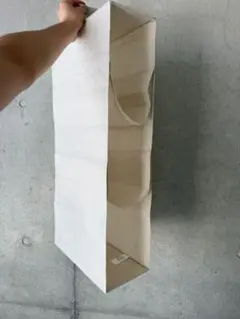 Item thumbnail for item 2779c708-43c6-4052-b29a-d8419a7f33f9