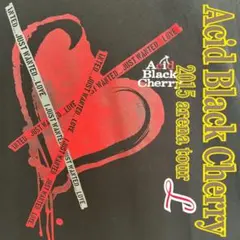 Acid Black Cherry 2015 アリーナツアーL Tシャツ M