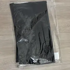 浜崎あゆみ□TeamAyu□ペンケース【在庫ラスト】【新品・未使用