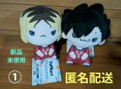ハイキュー もちぴこぬいぐるみ 孤爪研磨 黒尾鉄朗 マスコット ノーマルサイズ①