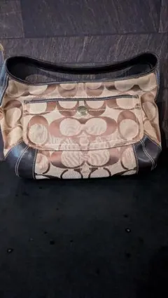 良品✨COACH ワンショルダーバッグ ハンドバッグ シグネチャー キャンバス