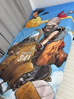 Item thumbnail for item 8878f846-b37b-48a7-b151-dd3b5afbed7e