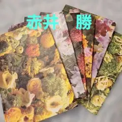 Item thumbnail for item 6d1c51c5-7756-45ba-b1ea-69d14f65b671