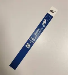 c107 リストバンド 二日目午前