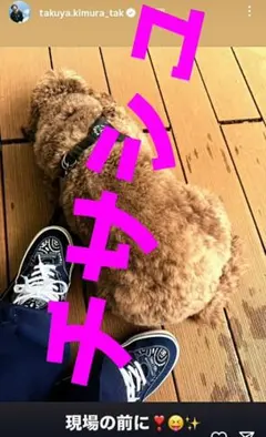 キムタク　私物　BEDWIN × VANS OTW HALF CABのサムネイル