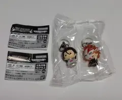 BLEACH 黒崎一護 藍染惣右介 めじるしアクセサリー2 ～破面篇～