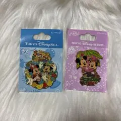 東京ディズニーシー・リゾート ピンバッジセット