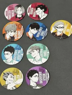 ハイキュー！！ TO THE TOP ポートレート缶バッジ9点まとめ売り