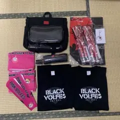 熊本ヴォルターズグッズ一式