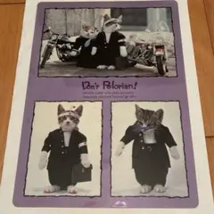 なめんなよ　なめ猫　下敷き　昭和レトロ当時モノ