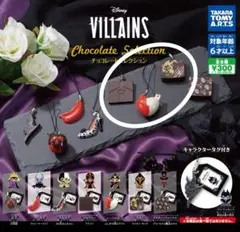 【匿名配送】ディズニー　ヴィランズチョコレートセレクション