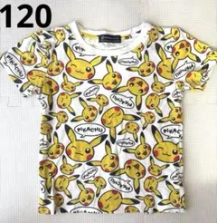 【即購入⭕️】ポケモンセンター限定　ピカチュウ総柄Tシャツ　綿100% 120cm