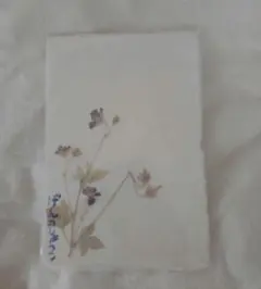 Item thumbnail for item 70a85848-4074-416b-9884-676f7a3c110e