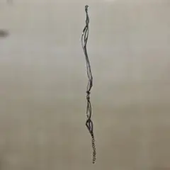 Item thumbnail for item 02e8825b-f814-4eea-9dae-a582cf43ebe5