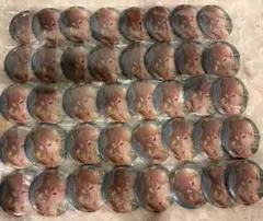 プロセカ 望月穂波 48b グリ缶 缶バッジ