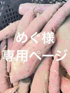 めぐ様専用ページです。