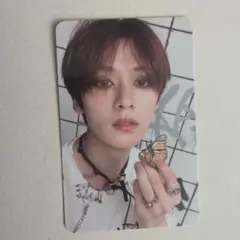 stray kids リノ トレカ