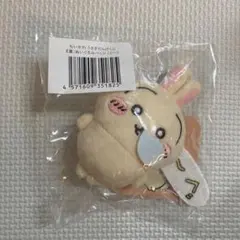 ちいかわ うさぎだらけくじ E賞 ぬいぐるみバッジ ぐ〜