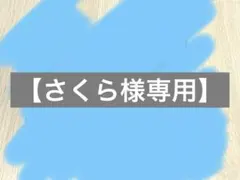 【さくら様専用】