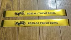 TOP4 東京ドームイベント 銀テ TOP4 東京ドームイベント 銀テ