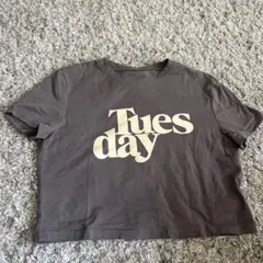 半袖Tシャツ グレー