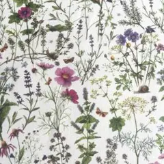ドイツ　アクファクトゥム　acufactum コスモス　秋色の花々　生地