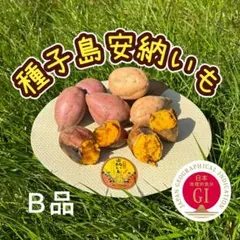 種子島安納芋MIX B品 5kg