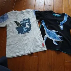 恐竜 Tシャツ 2枚セット