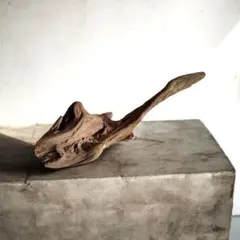 Item thumbnail for item b2d8c422-2b0d-475e-8691-1546b5c49477