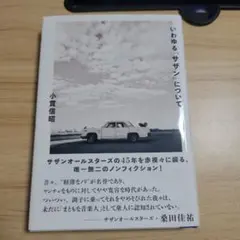 いわゆる「サザン」について
