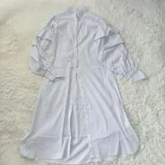 ミエリインヴァリアント