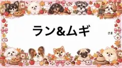 専用