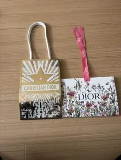 Christian Dior ショップ袋 2枚セット