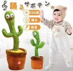 【美品】ダンシングサボテンおもちゃ