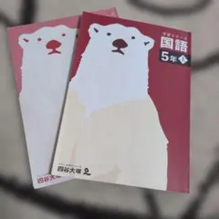 予習シリーズ国語　5年上